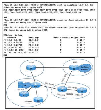 300-510 Sample Questions Pdf