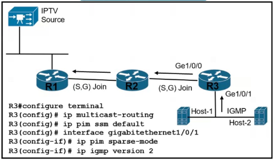 Free Cisco 300-510 Exam Dumps and 300-510 Exam Questions